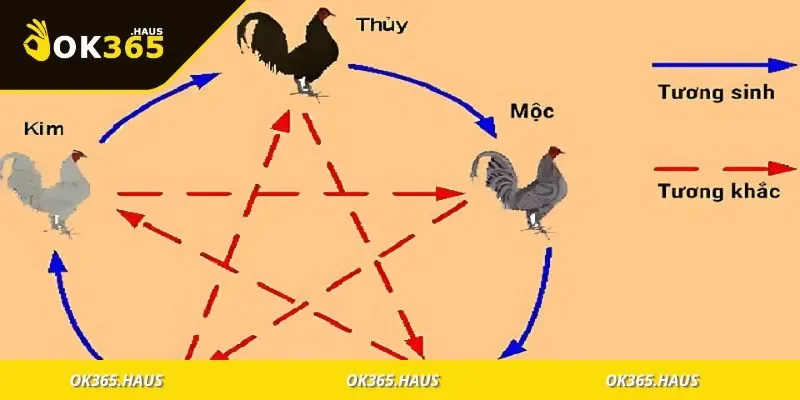 Bảng màu mạng đá gà theo Kim Mộc Thủy Hỏa Thổ