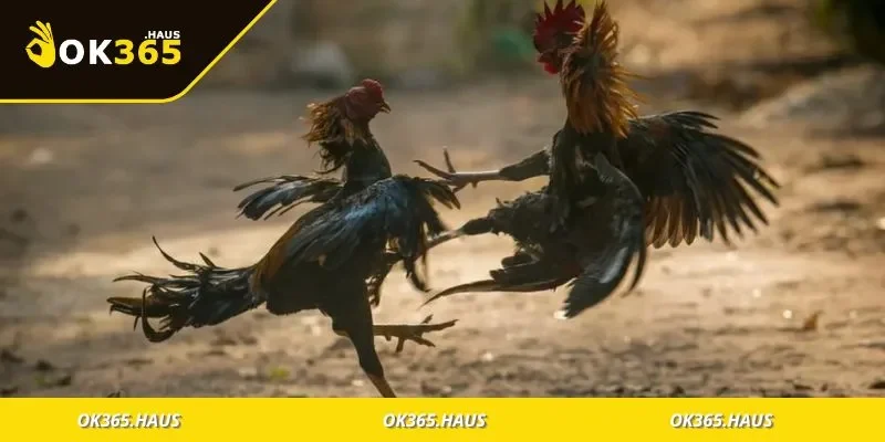 Kinh nghiệm chọn ngày đúng chuẩn dân chuyên